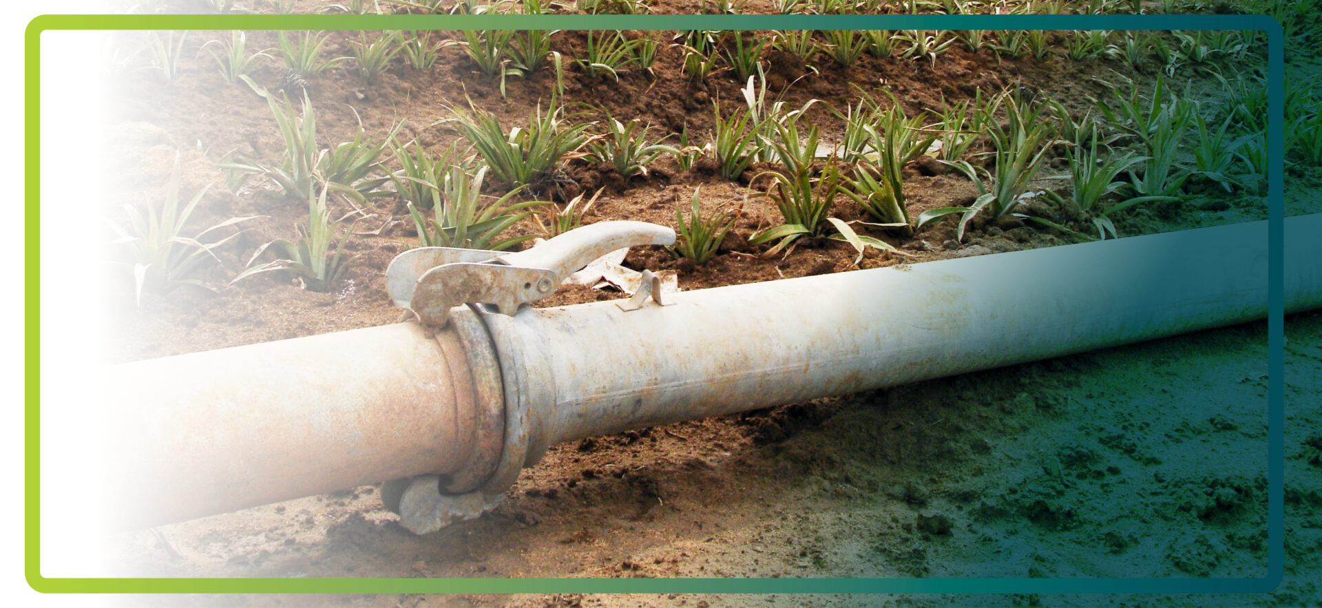 Tubo di scarico con raccordo 159 tipo B Dallai